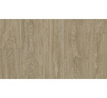 Линолеум Tarkett Club Maximus 2